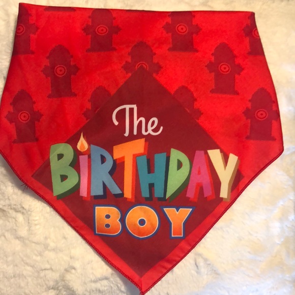 Stonehouse Collection Birthday Boy Bandana - Picture 1 of 1